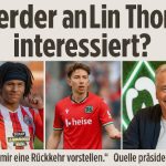 🟢 Horst Steffens Revolution beginnt: Werder Bremen will Mittelfeld um Maxi Oyedele aufbauen