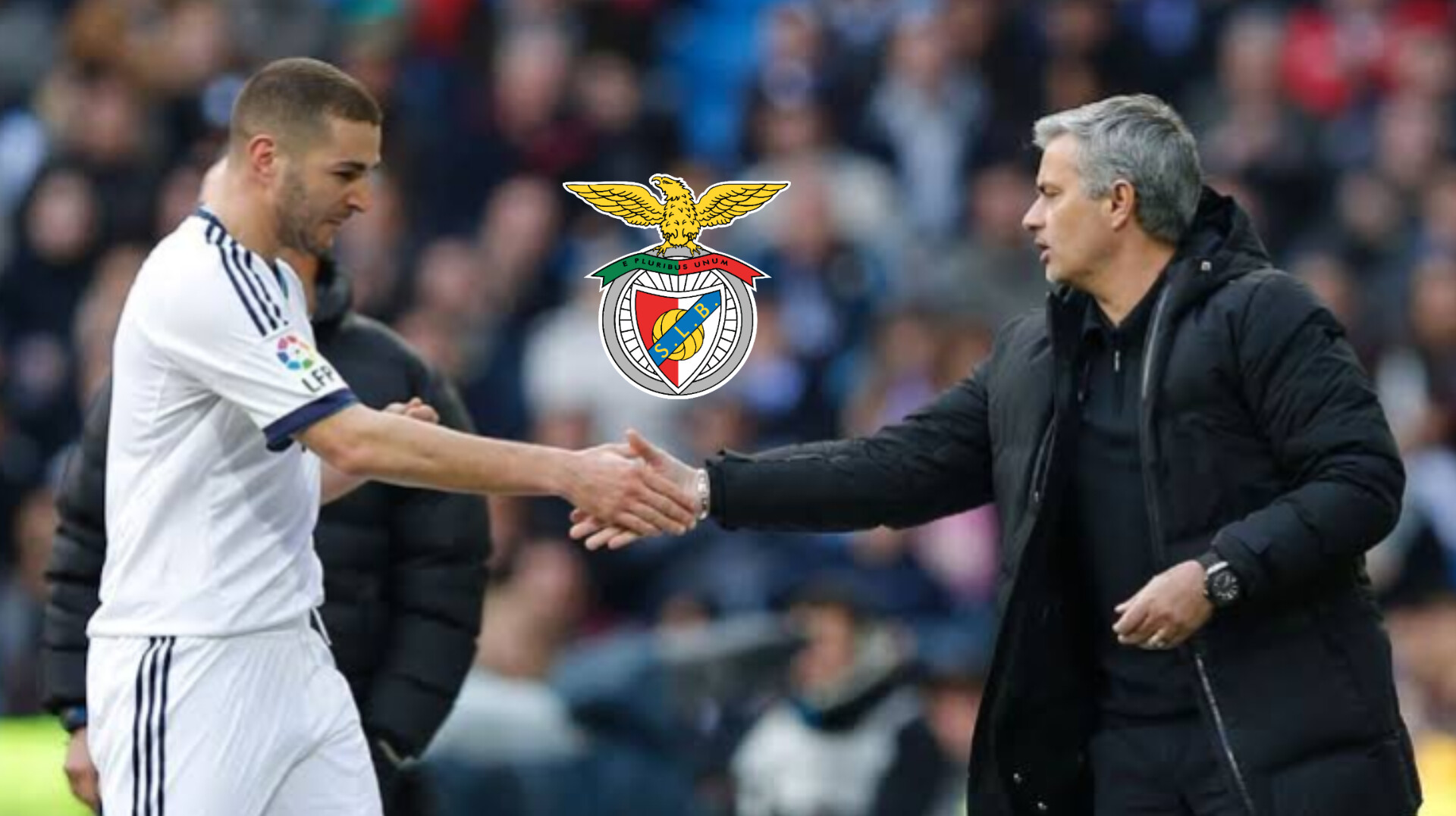 InShot_20260101_123446184