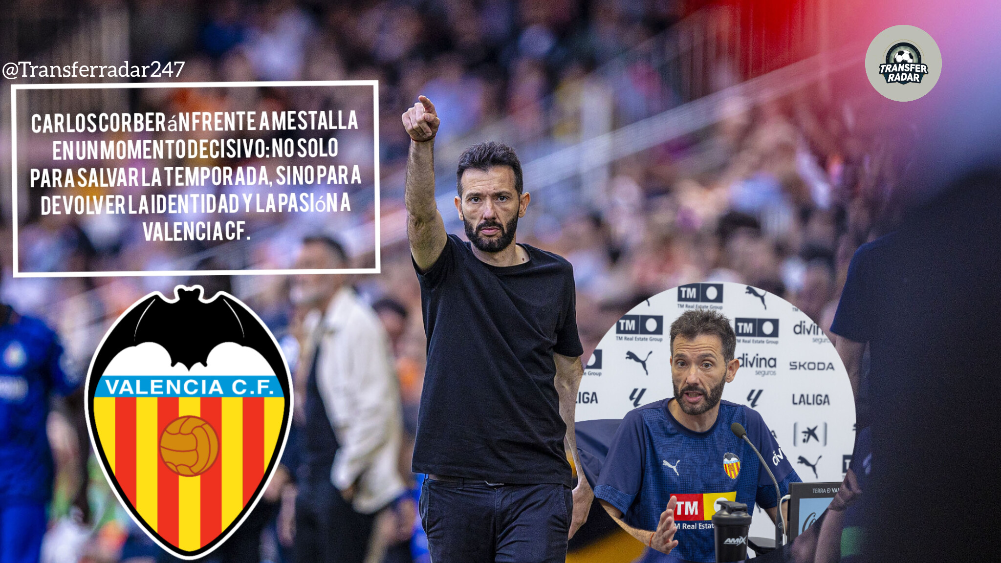 InShot_20260205_164027566