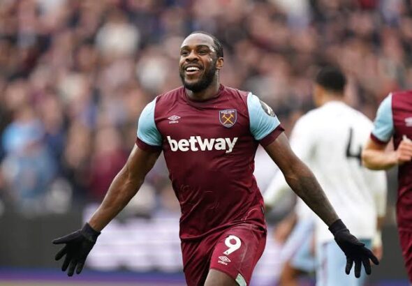 images - 2026-02-11T112024.190