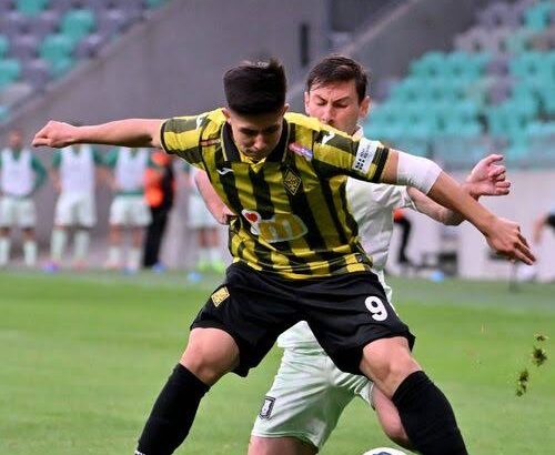 images - 2026-02-23T164739.815