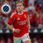 InShot_20260308_191128760