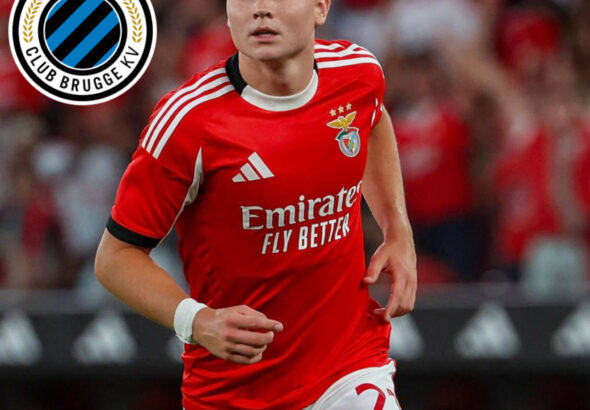 InShot_20260308_191128760