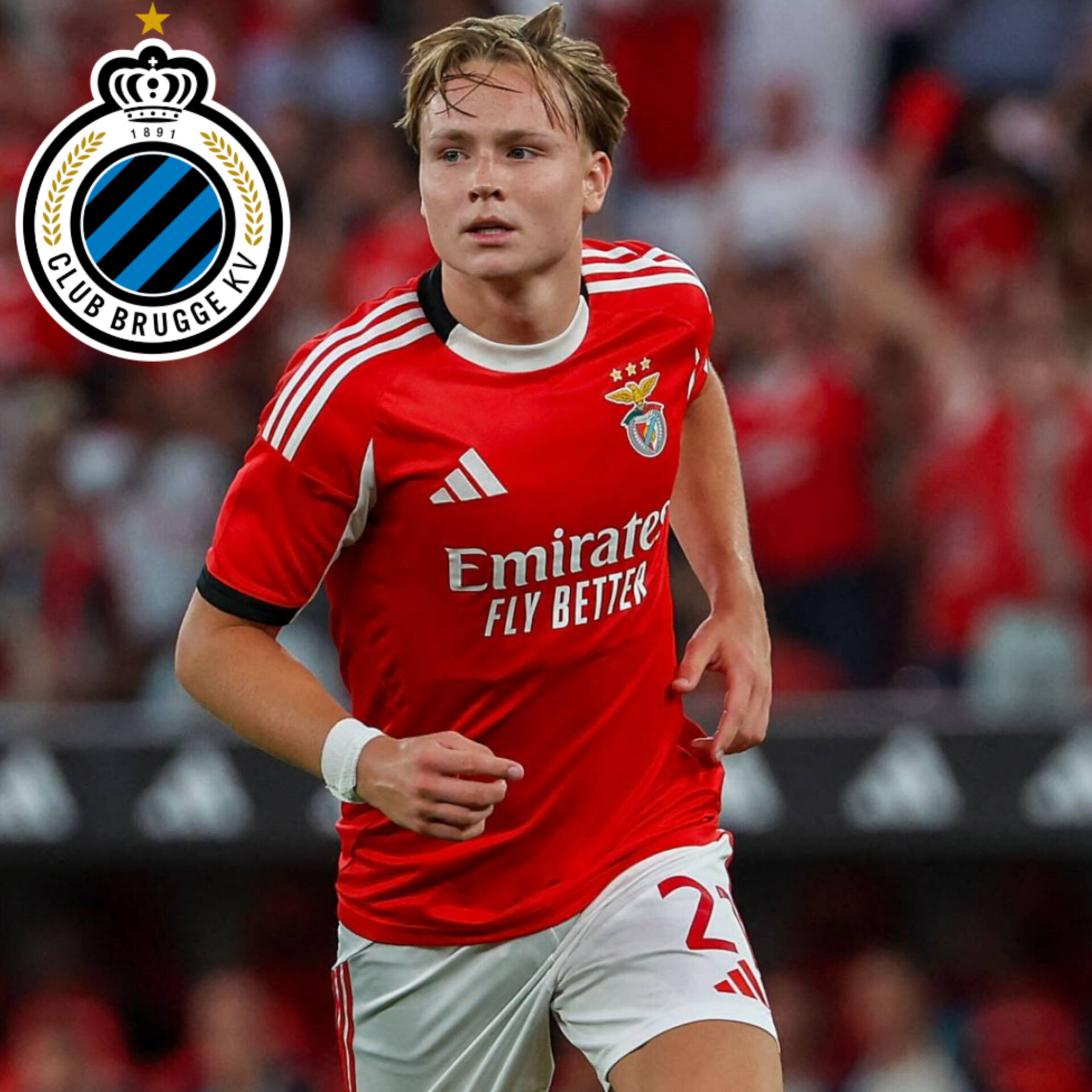 InShot_20260308_191128760