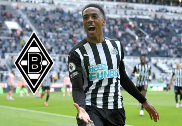 InShot_20260313_210635512