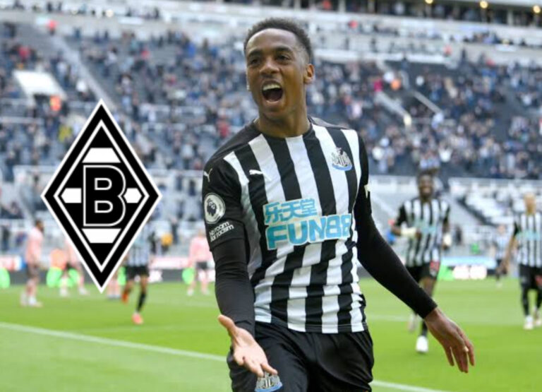 InShot_20260313_210635512