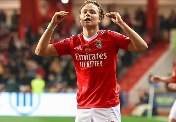 images - 2026-03-08T191010.385