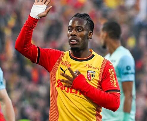 images - 2026-03-29T135527.310